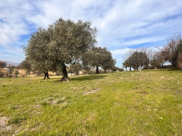 terreno edificabile in vendita a Montesilvano