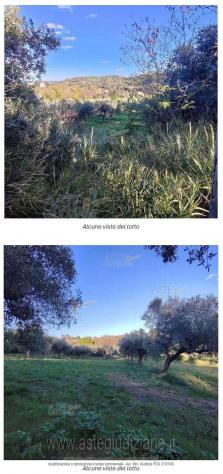 terreno edificabile in vendita a Montesilvano