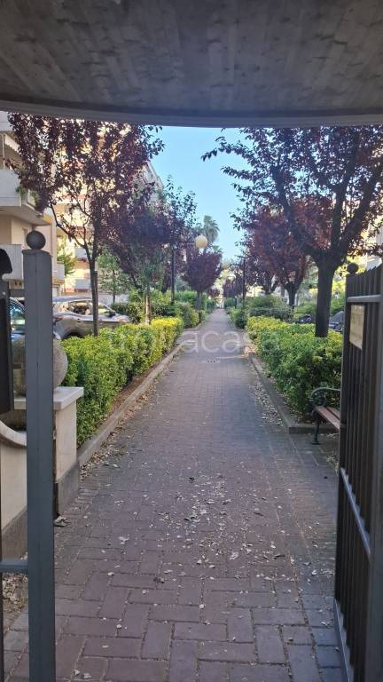 appartamento in vendita a Montesilvano