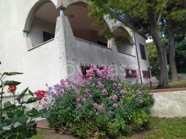 casa indipendente in vendita a Montesilvano