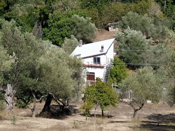 appartamento in vendita a Montesilvano
