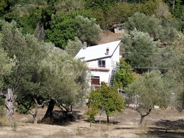 appartamento in vendita a Montesilvano