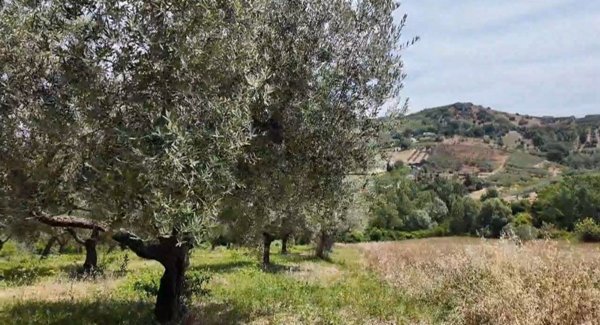 terreno in vendita a Montesilvano in zona Montesilvano Colle