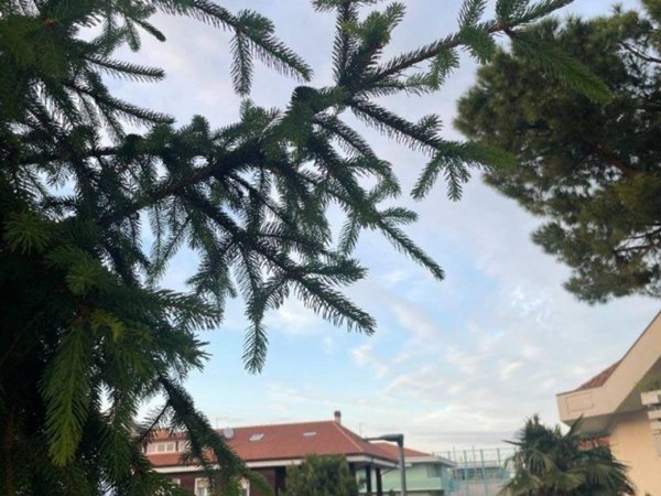 appartamento in vendita a Montesilvano