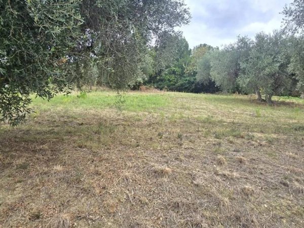 terreno in vendita a Montesilvano