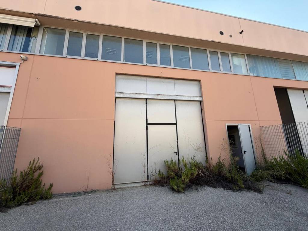 locale commerciale in vendita a Montesilvano in zona Case di Pietro