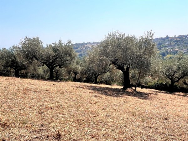 terreno in vendita a Montesilvano