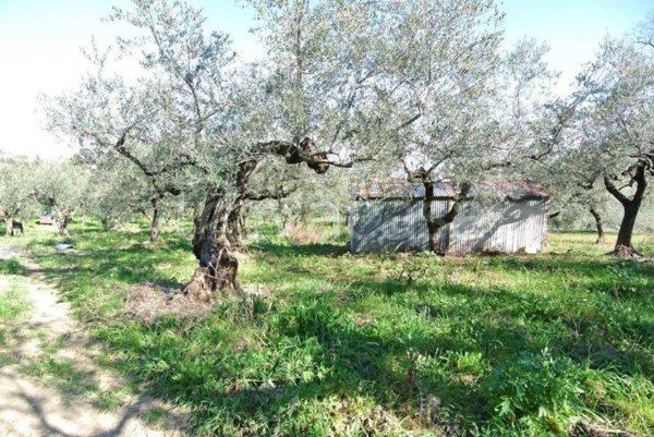 casa indipendente in vendita a Moscufo in zona Casale