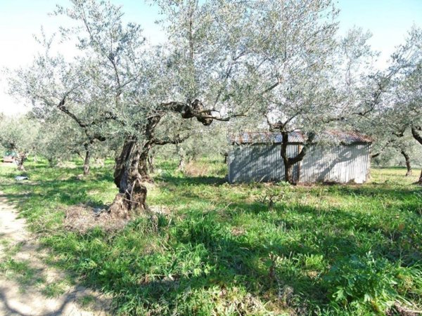 casa indipendente in vendita a Moscufo in zona Casale