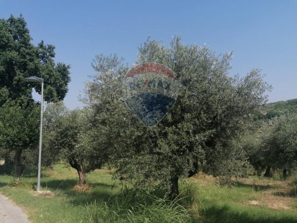 terreno edificabile in vendita a Moscufo