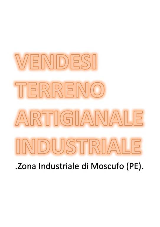 terreno agricolo in vendita a Moscufo