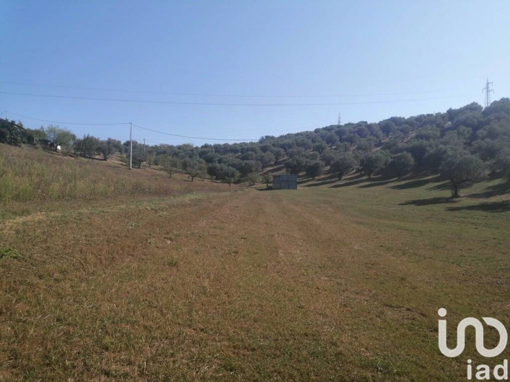 terreno agricolo in vendita a Moscufo