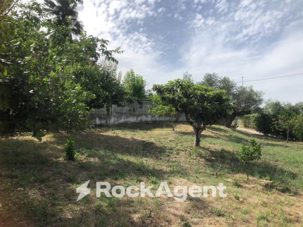 casa indipendente in vendita a Moscufo in zona Casale