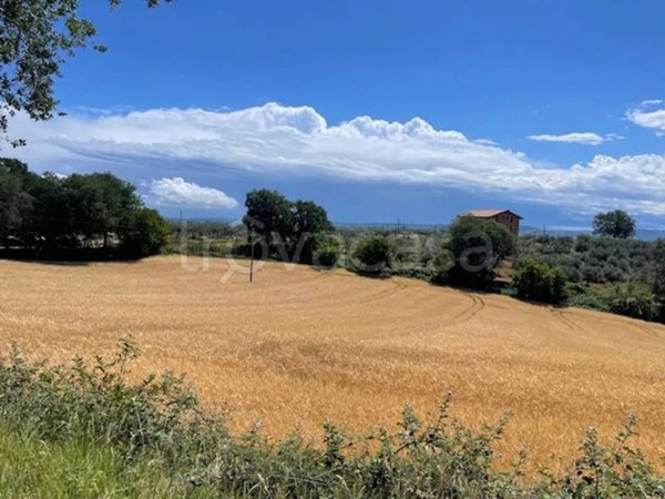 casa indipendente in vendita a Moscufo