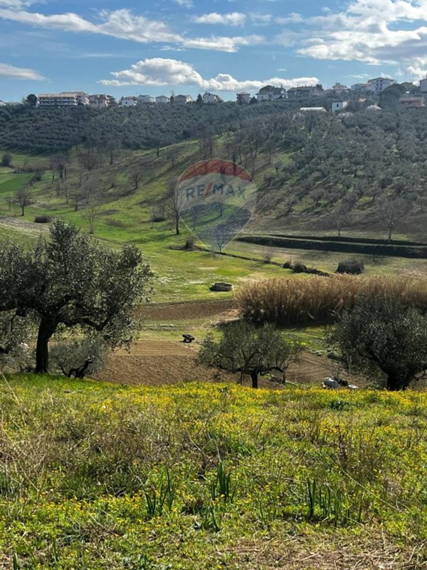 casa indipendente in vendita a Moscufo