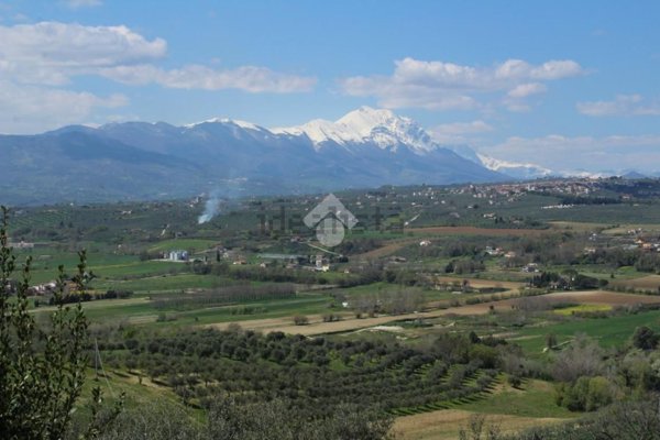 immagine annuncio 0 di 1