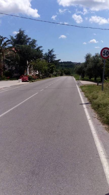 terreno agricolo in vendita a Moscufo