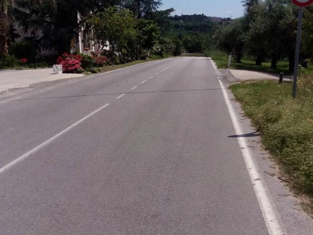 terreno agricolo in vendita a Moscufo