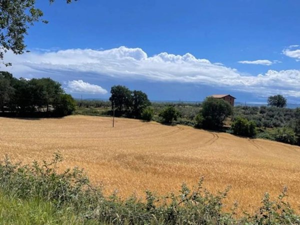 terreno edificabile in vendita a Moscufo