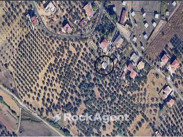 terreno agricolo in vendita a Moscufo