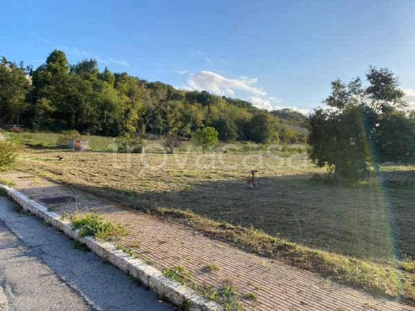 casa indipendente in vendita a Moscufo in zona Bivio Casone
