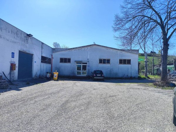 locale commerciale in vendita a Moscufo