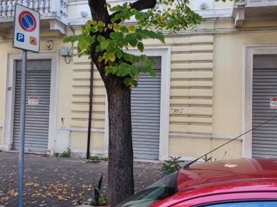 negozio in vendita a Moscufo