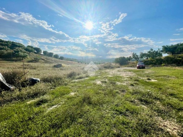 terreno agricolo in vendita a Moscufo