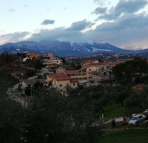 terreno agricolo in vendita a Moscufo