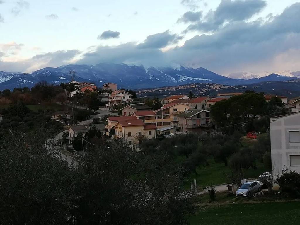 terreno agricolo in vendita a Moscufo