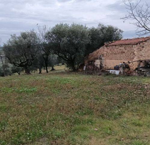 terreno agricolo in vendita a Moscufo in zona Senarica