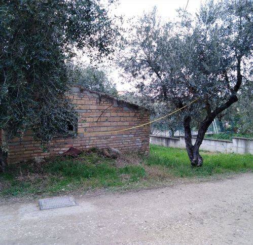 terreno agricolo in vendita a Moscufo in zona Senarica