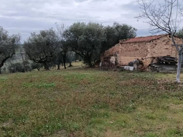terreno agricolo in vendita a Moscufo in zona Senarica