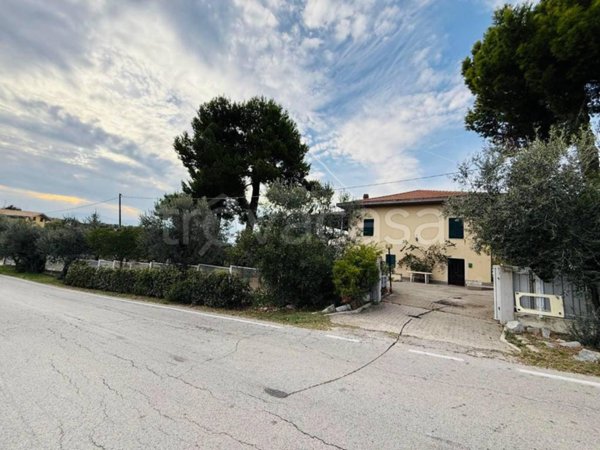 casa indipendente in vendita a Moscufo