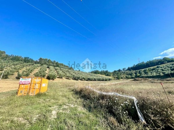 terreno agricolo in vendita a Moscufo