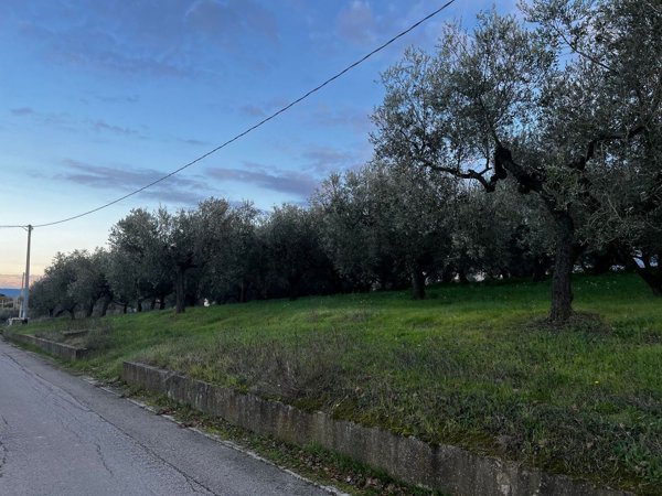 terreno edificabile in vendita a Moscufo in zona Valle Pelillo