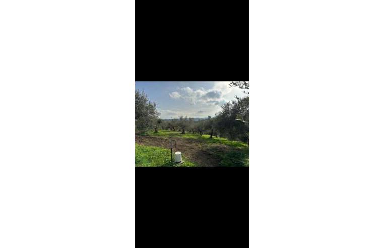 casa indipendente in vendita a Moscufo