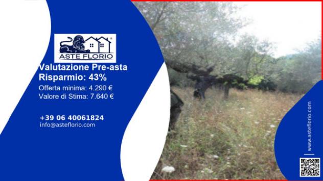 terreno agricolo in vendita a Moscufo