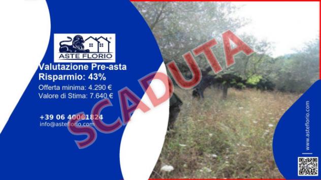 terreno agricolo in vendita a Moscufo