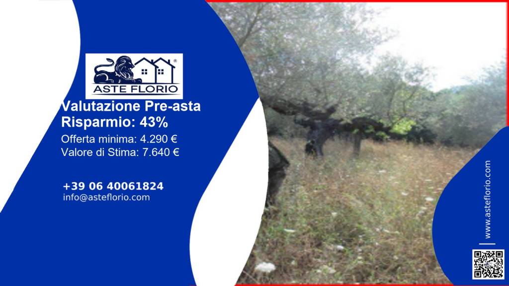 terreno agricolo in vendita a Moscufo