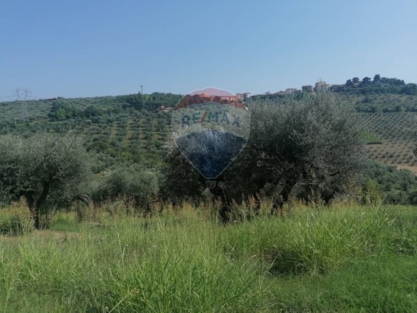 terreno edificabile in vendita a Moscufo