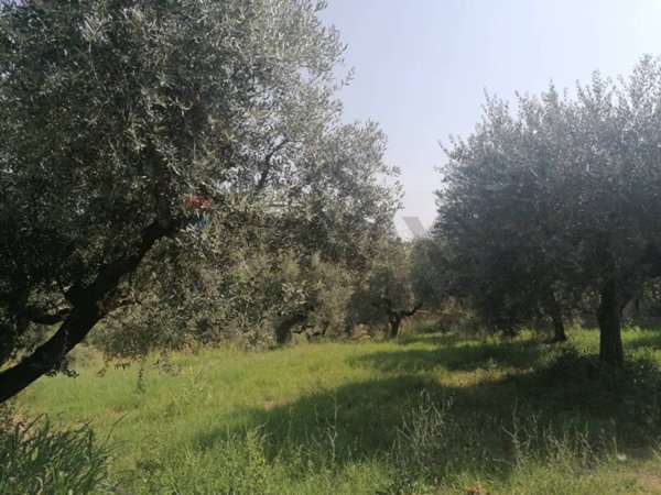 terreno edificabile in vendita a Moscufo
