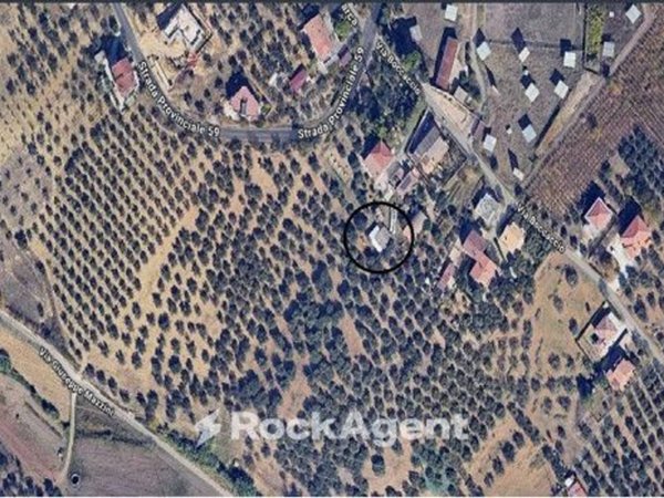 negozio in vendita a Moscufo