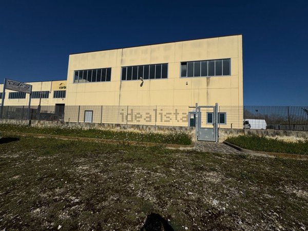 capannone in vendita a Moscufo