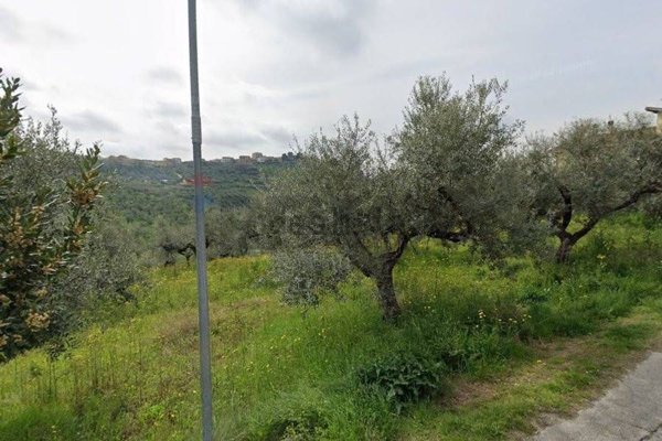 terreno edificabile in vendita a Moscufo