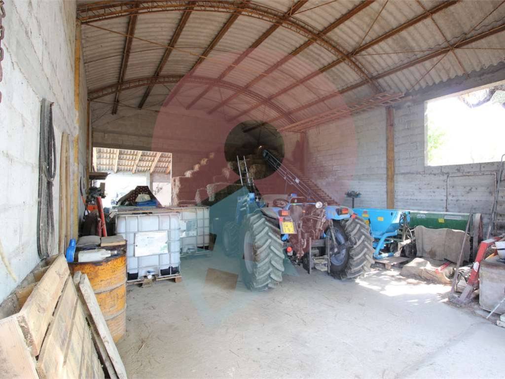 terreno agricolo in vendita a Moscufo