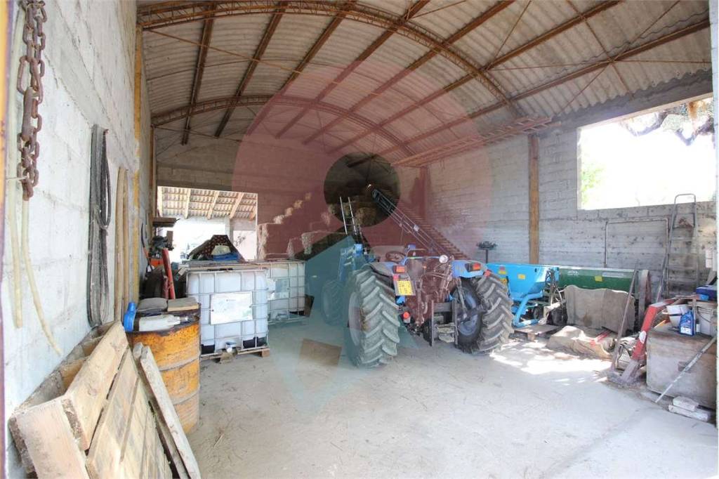 terreno agricolo in vendita a Moscufo