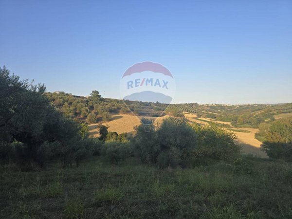 terreno agricolo in vendita a Moscufo
