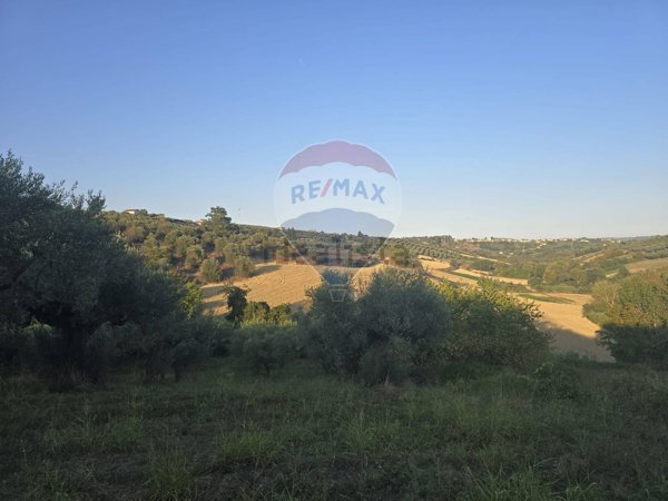 terreno agricolo in vendita a Moscufo