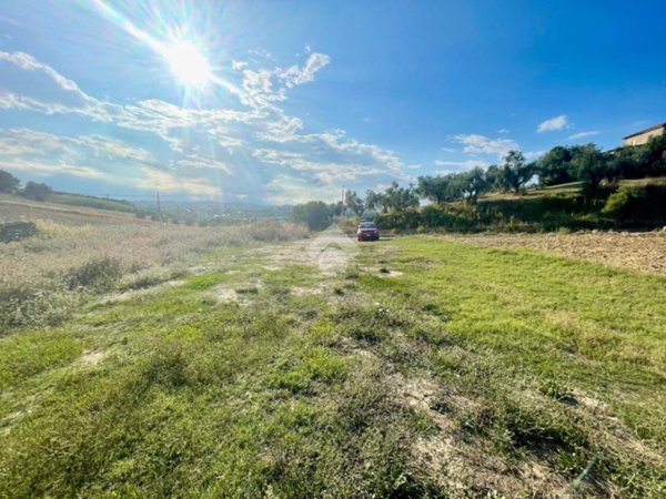 terreno agricolo in vendita a Moscufo in zona Villa Sibi